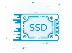 Hosting SSD